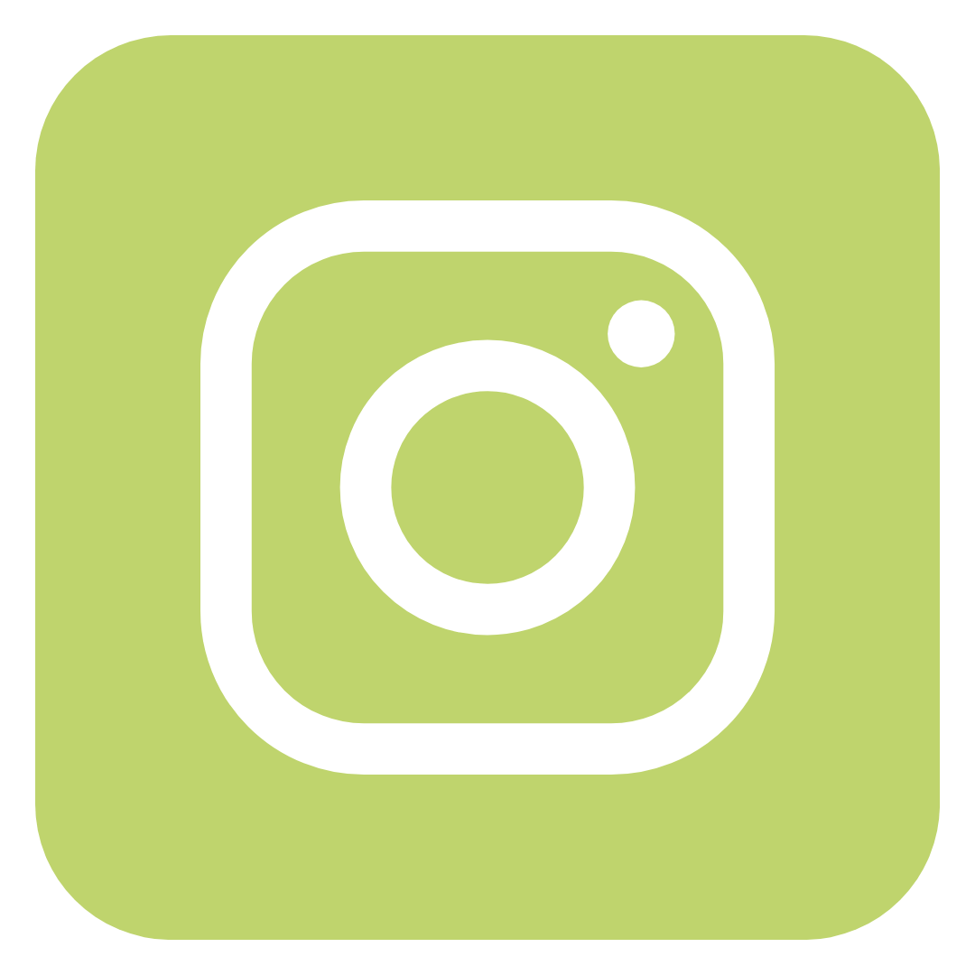 instagram icon